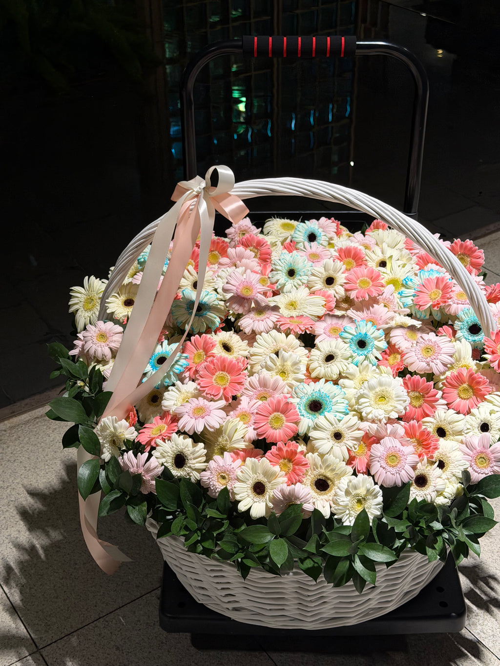 GERBERA