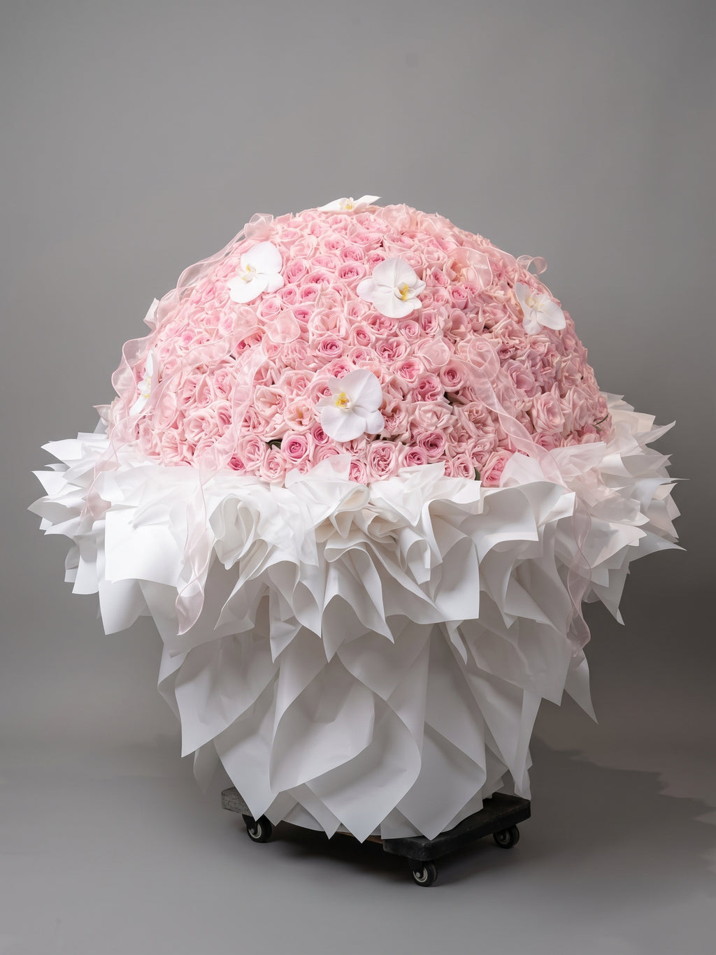 520 BLUSH DOME