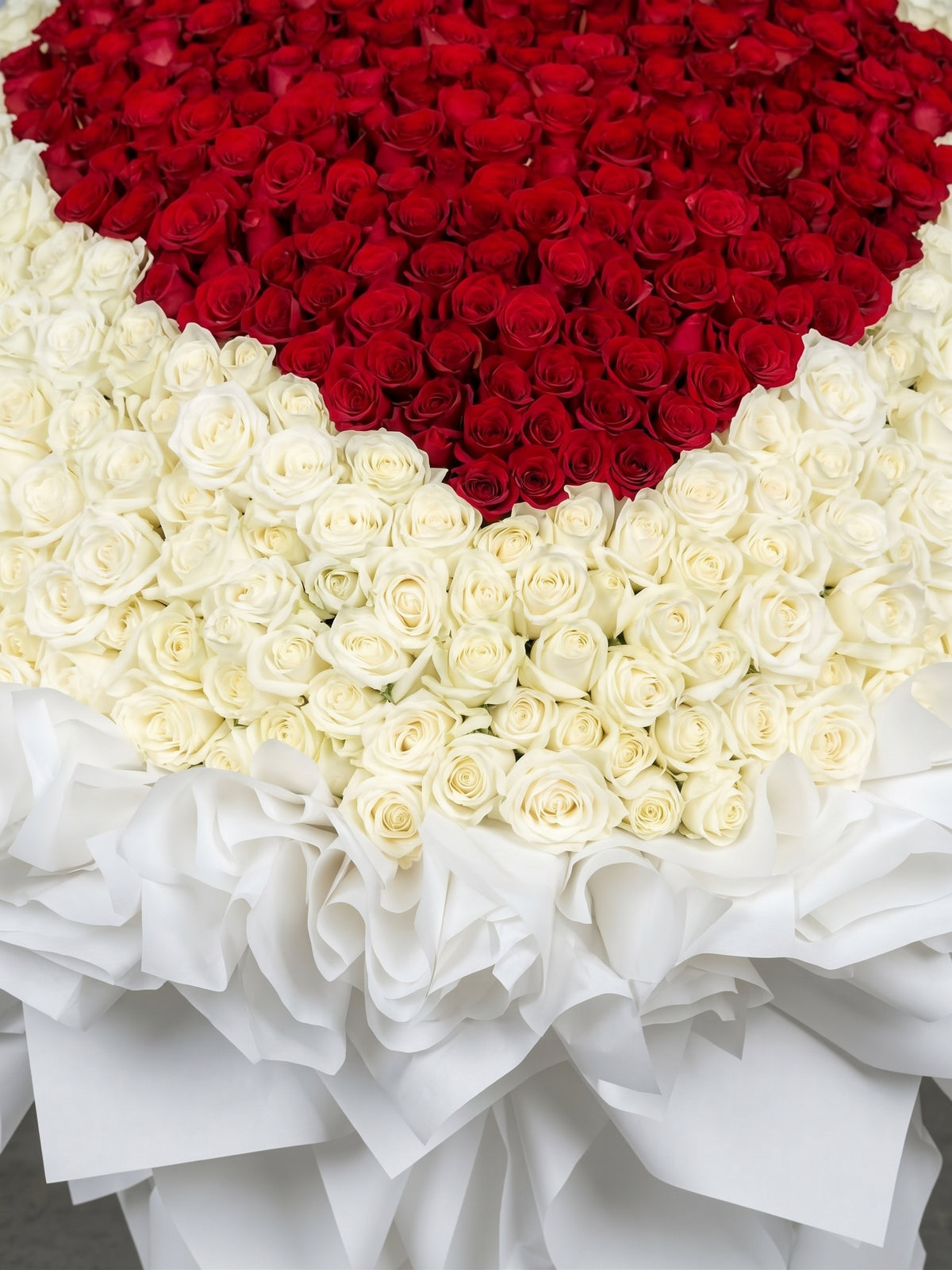 999 ROSE HEART