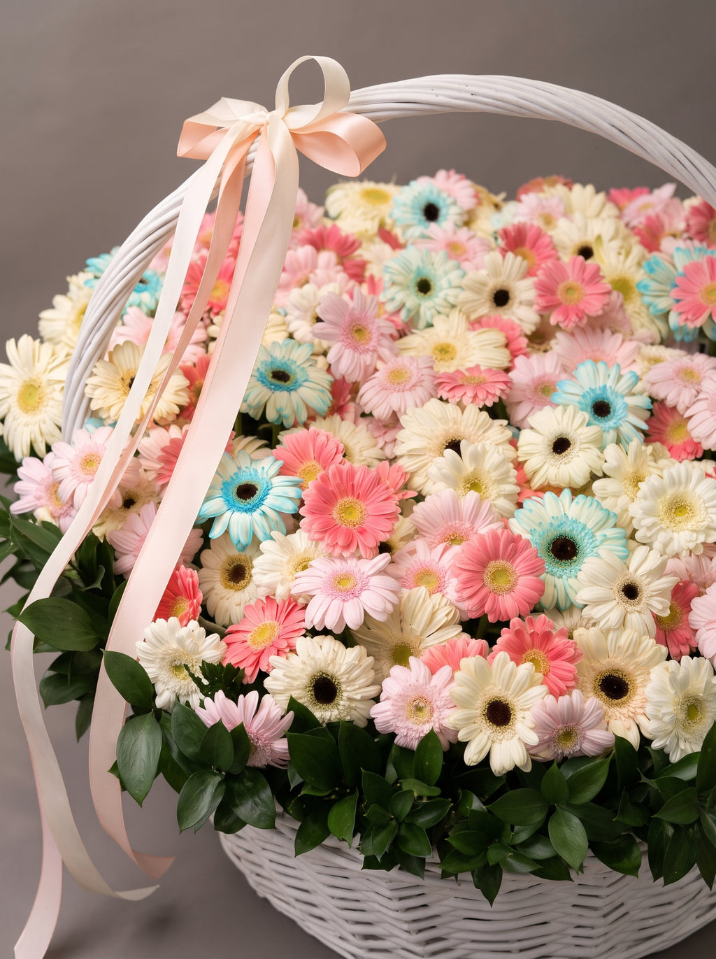 GERBERA