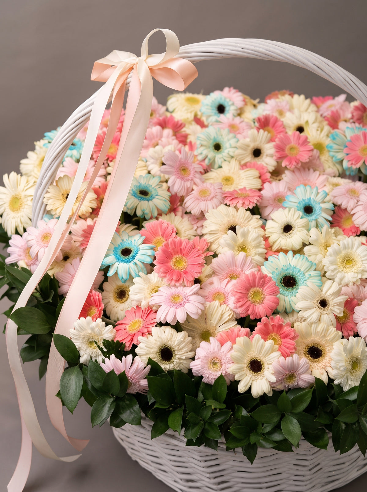 GERBERA