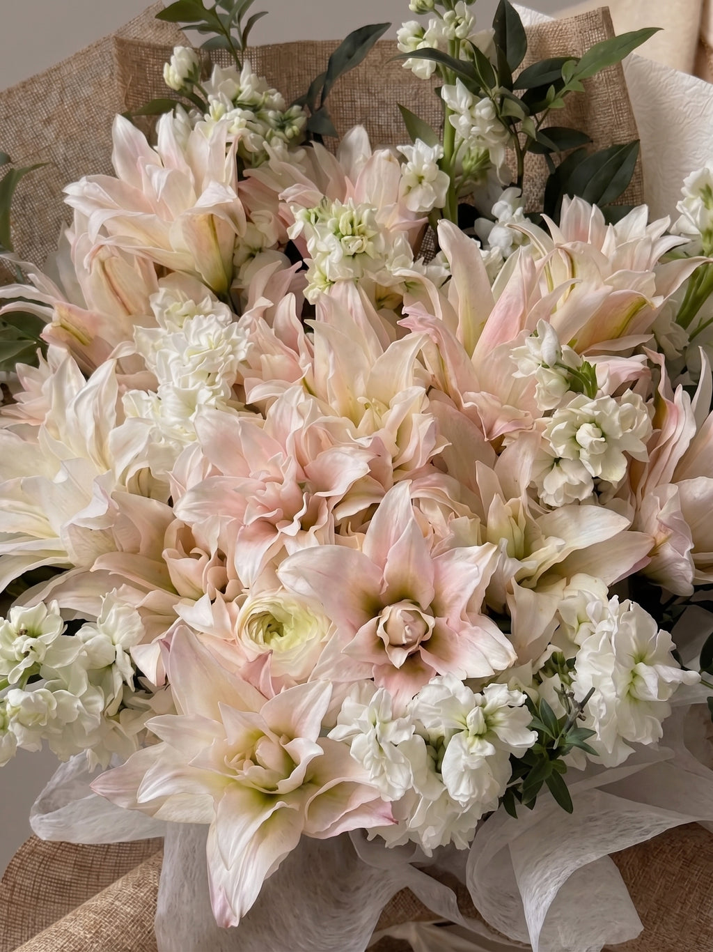 IVORY BLUSH LILY