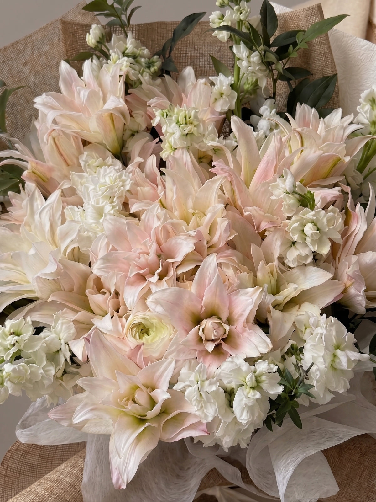 IVORY BLUSH LILY