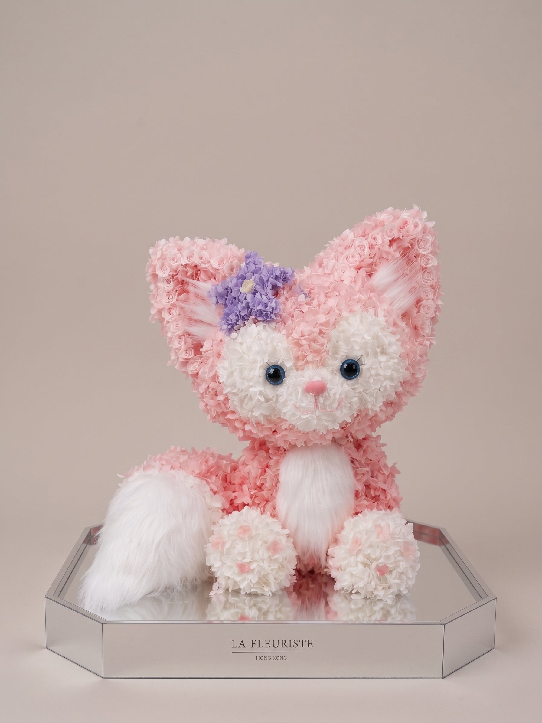 LINABELL BLOSSOM KITTEN