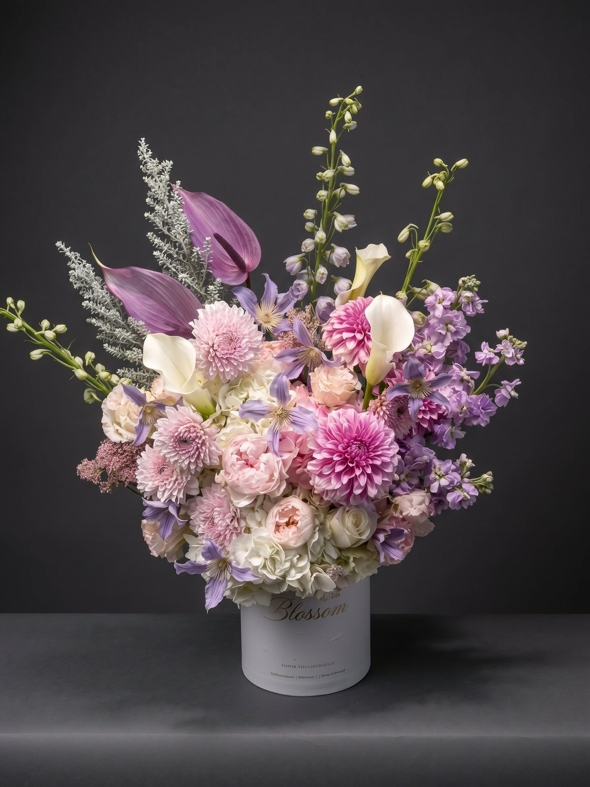 LILAC DAHLIA