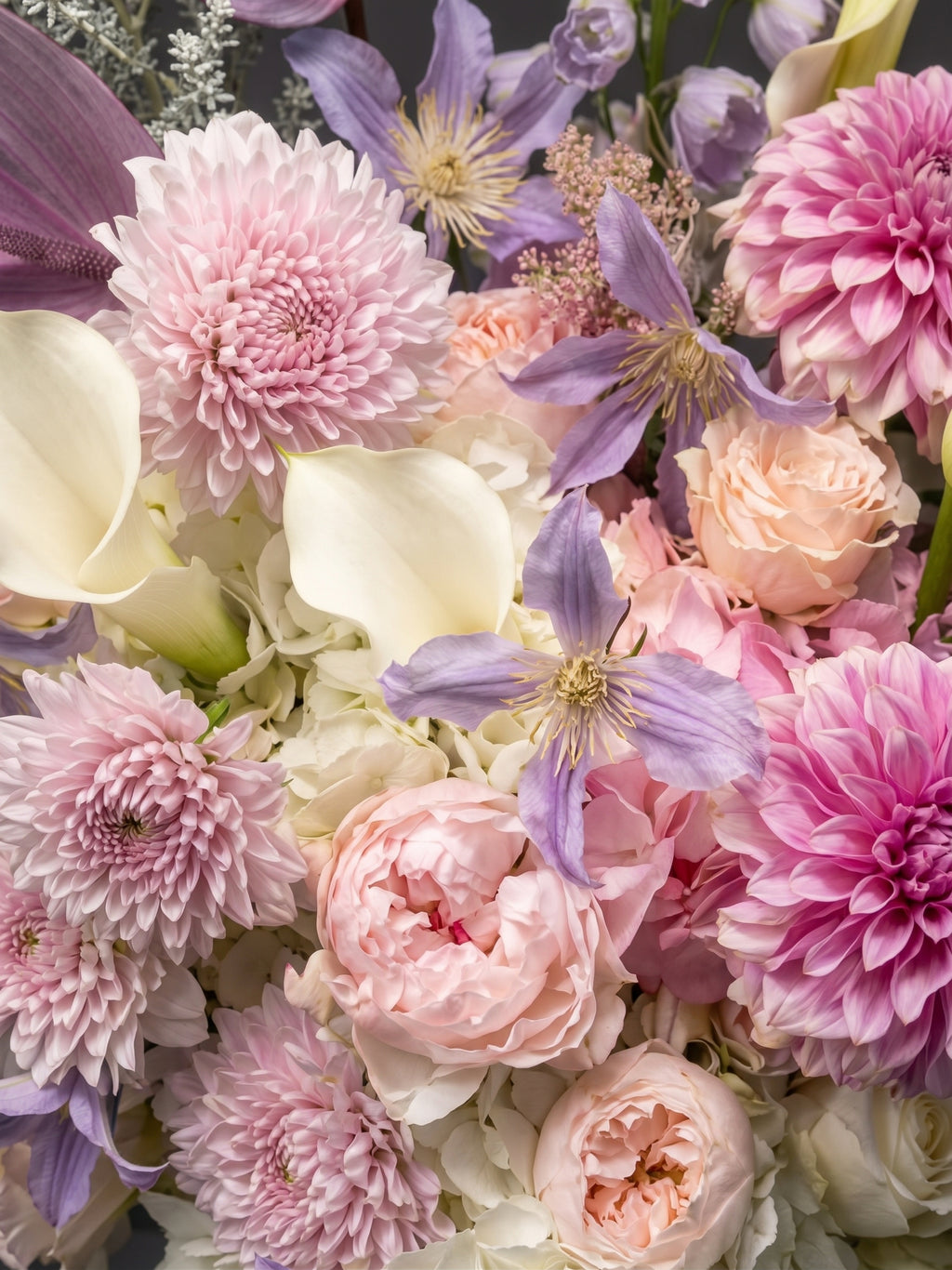 LILAC DAHLIA