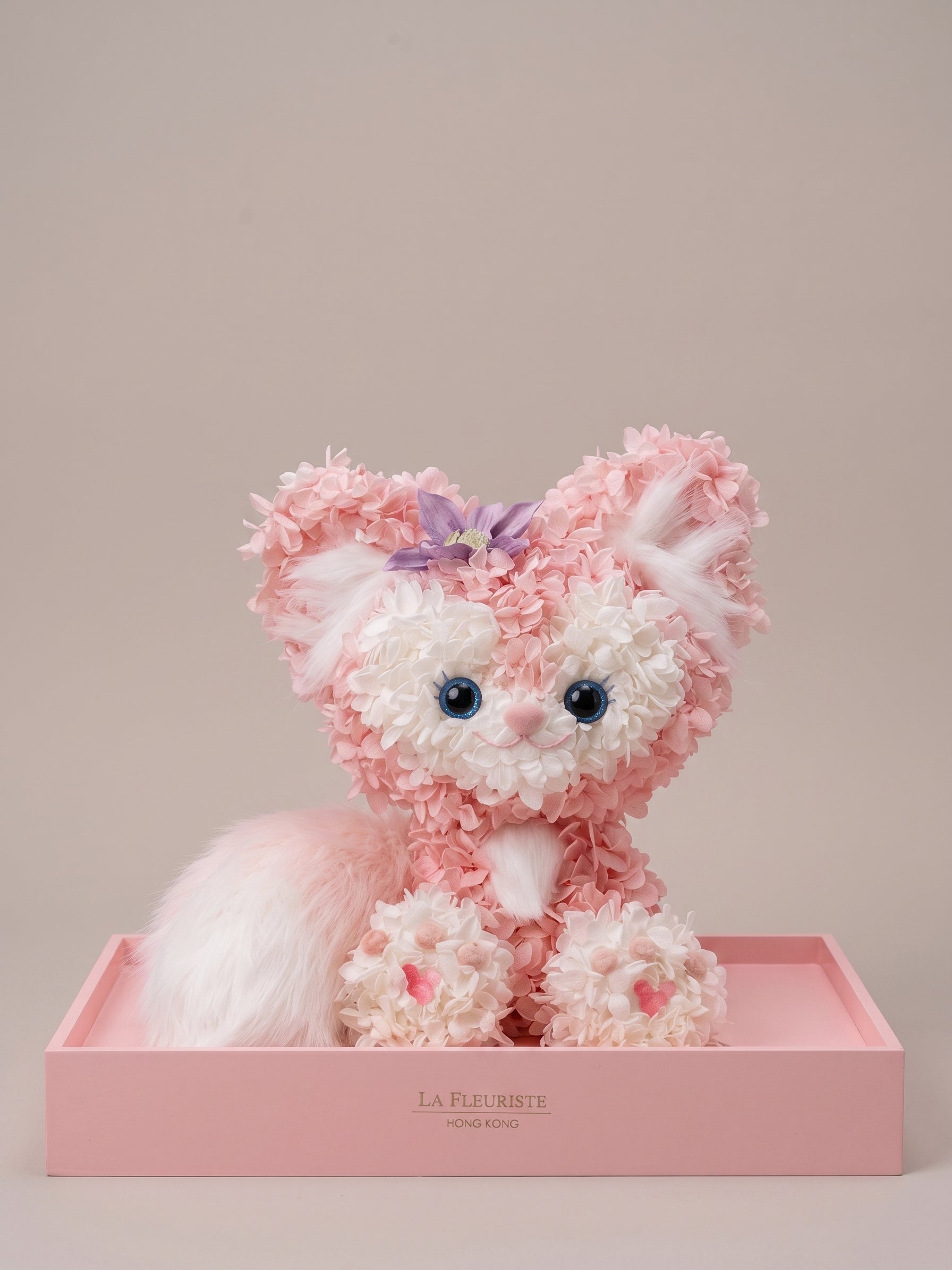 LINABELL BLOSSOM KITTEN