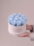 POWDER BLUE