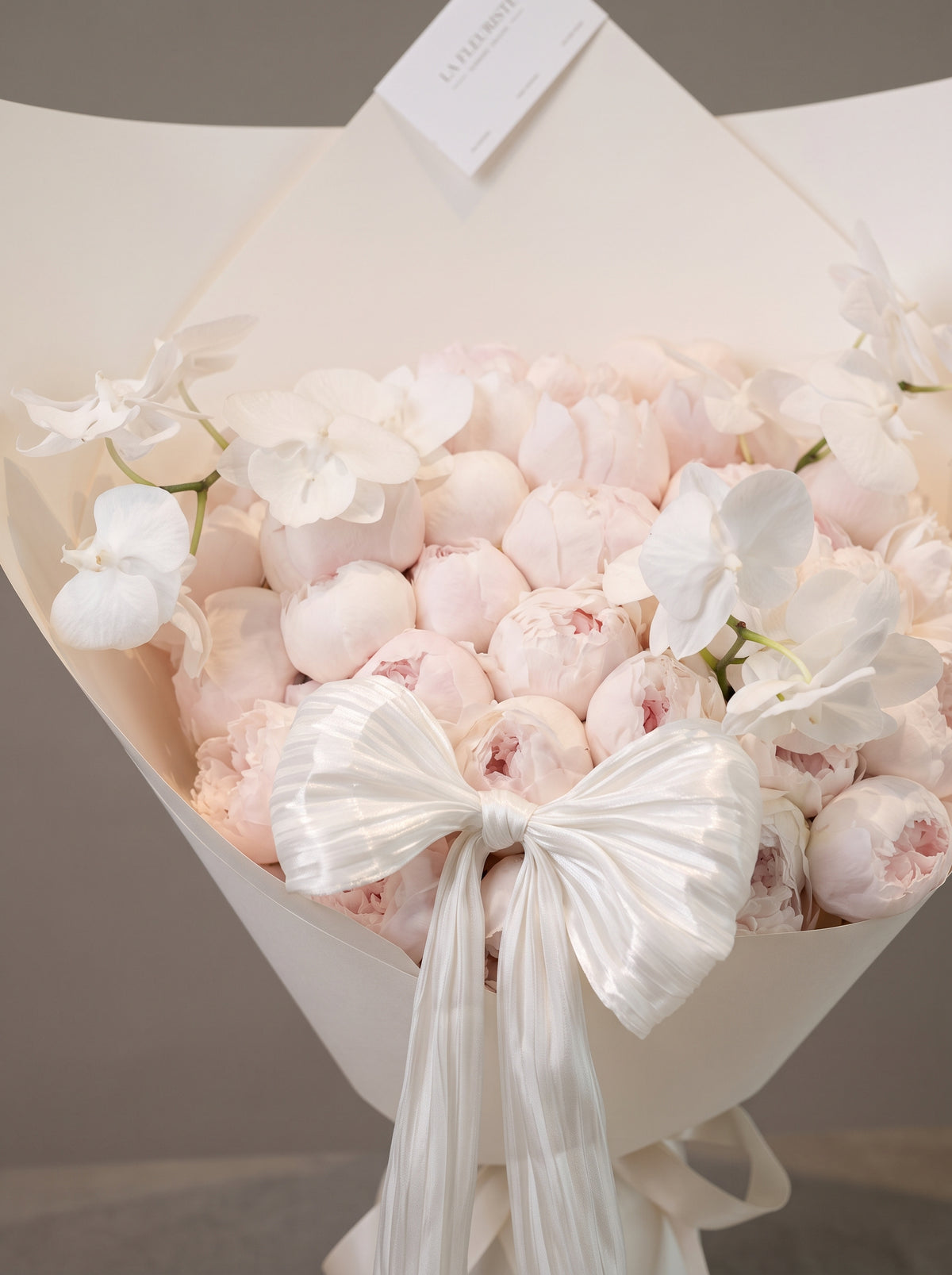 Peony Dream