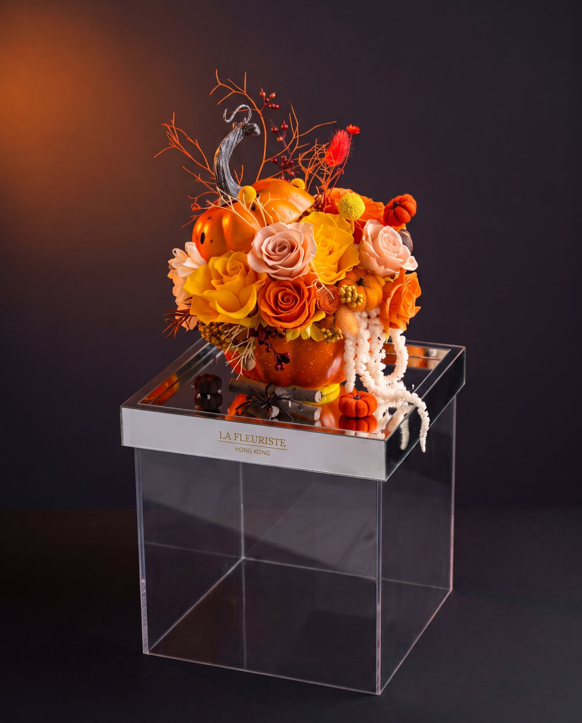 PUMPKIN BLOOM